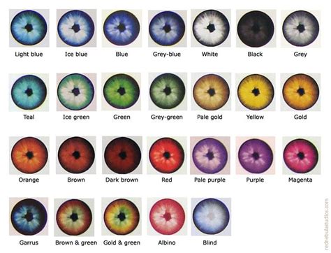 Eye Color Chart Eye Color Chart Rare Eye Colors Rare Eyes