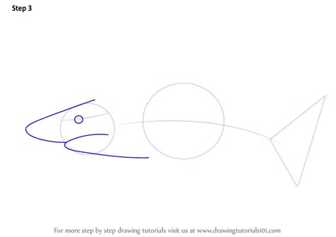 How To Draw A Blacktip Shark Fishes Step By Step