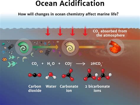 Ocean Acidification Knowledge Bank Solar Schools