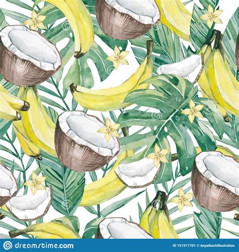Banana And Coconut Sketch Illustrations Vector Hand Drawn
