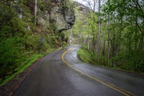 Hop In Your Car And Take Red River Gorge Scenic Byway For An Incredible