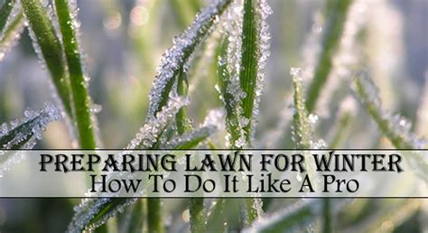 Preparing Lawn For Winter How To Do It Like A Pro