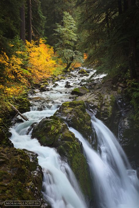 Sol Duc Falls Autumn Olympic National Park Washington Morning