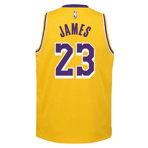 Nike Los Angeles Lakers Lebron James Icon 202021 Kids Swingman Jersey