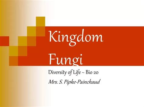Ppt Kingdom Fungi Powerpoint Presentation Free Download Id3636811