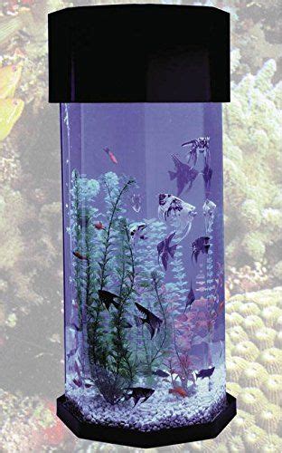 Midwest Tropical Fountain Aqua 10 Gallon Scape Octagon Aquarium Kit