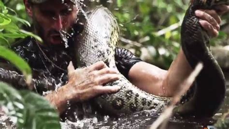 Reality Tvs New Extreme Being Eaten Alive By A Giant Anaconda Snake
