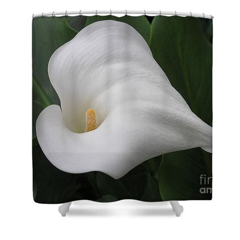 Calla Remembrance Shower Curtain For Sale By Anne Ditmars