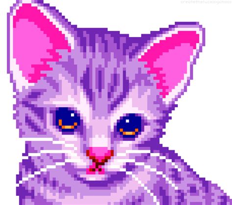 Purple Cat On Tumblr