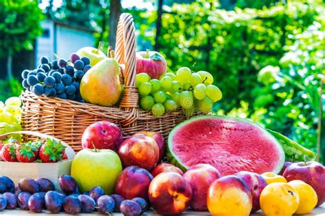 Variety Of Fresh Ripe Fruits In The Garden Stock Photo Image Of Food