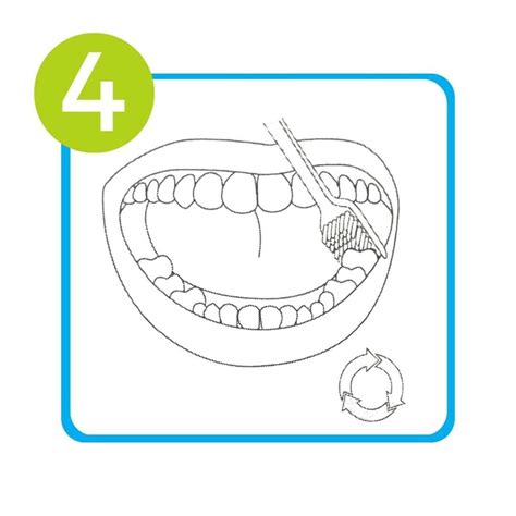 Como Realizar A Escovação De Dentes Com Dicas De Um Dentista Para Idosos