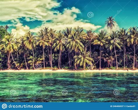 Palm Trees On The Beach Of A Tropical Island Stock Image Image Of