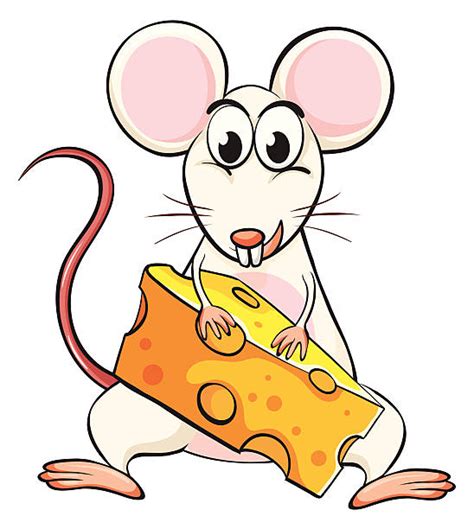 Mouse And Cheese Clipart 20 Free Cliparts Download Images On