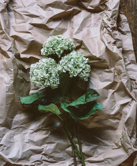 Realistic and romantic, faux hydrangea stems continue to be a favorite of brides. Hydrangea Green | Faux flower stems | Olive | Flowers ...