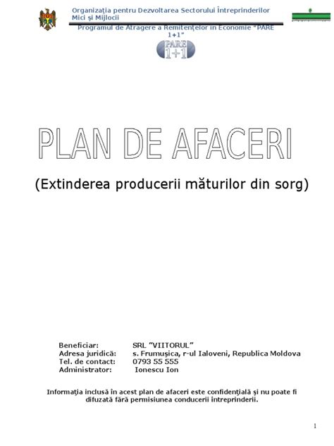 Model Plan De Afaceri Completatdocx