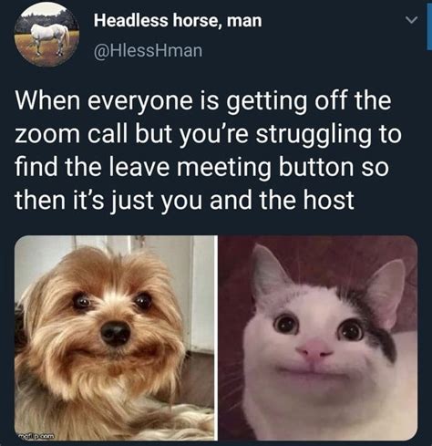 Memes Funny Zoom Meeting Jokes Zoom Is A Goldmine For Playing Pranks