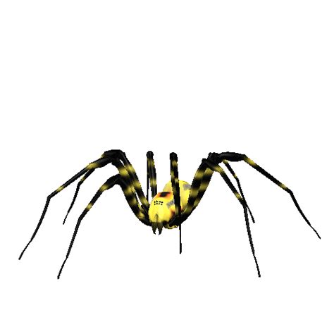 Spider Animated Images Clipart Best