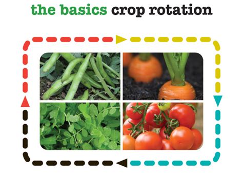 The Basics Crop Rotation Ecowise Planters