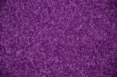 Grape Purple 6 X 8 Plush Bound Carpet Area Rug