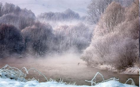 2942324 Nature Photography Landscape Morning Winter Snow River Trees