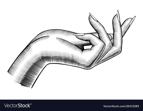 Womans Hand Vintage Drawing Royalty Free Vector Image