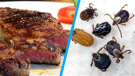 Tick That Can Make You Allergic To Red Meat May Be Spreading