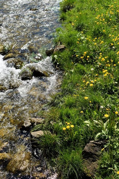 Small Alpine River In Wasserauen In Switzerland Stock Photo