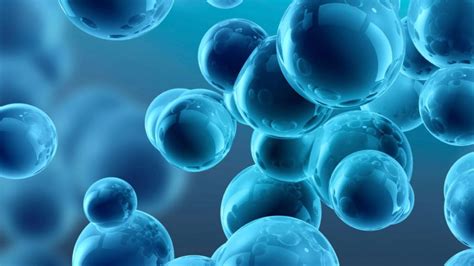 La canícula es un evento climático que tiene lugar durante el verano y se caracteriza por ser una sequía, es decir una disminución o ausencia de lluvia. ¿Qué es la nanotecnología? Características y evolución