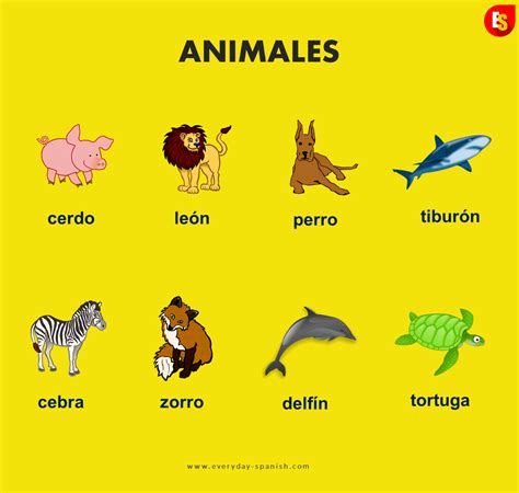 Awasome Animals That Start With A In Spanish References