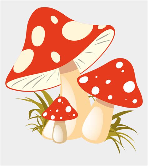 Mushroom Clipart Mushroom Stock Vectors Clipart And Illustrations