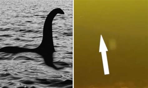 Loch Ness Monster Spotted In Rare Video But Blink And Youll Miss