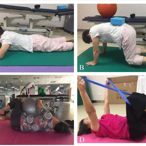 Image Of Training Core Stabilization Exercises A Crawl Position Download Scientific