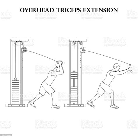 Overhead Triceps Uitbreiding Oefening Kracht Training Vector Illustratie Overzicht