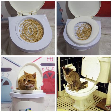 Best Cat Toilet Training Kit J2catshop