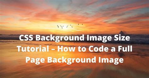 Css Background Image Size Tutorial How To Code A Full Page Background