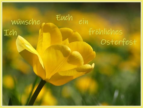 Frohe Ostern Und Schöne Tage Zum Entspannen Foto And Bild Pflanzen