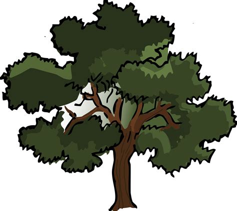 Oak Tree Clip Art Cartoon Tree Png Download 24002133 Free