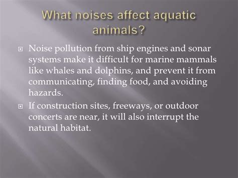 Effects Of Noise Pollution On Aquatic Animals
