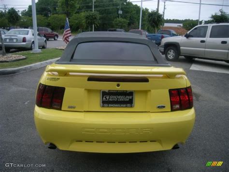 2001 Zinc Yellow Metallic Ford Mustang Cobra Convertible 29957531