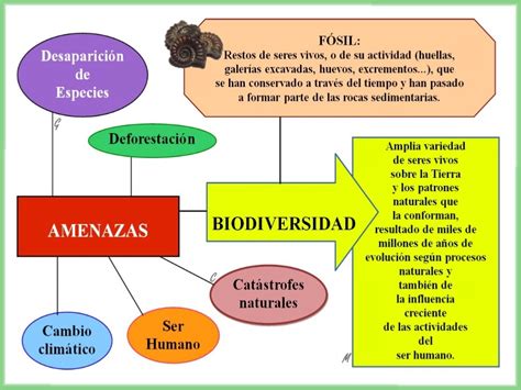 Esquemas Galledor Biodiversidad