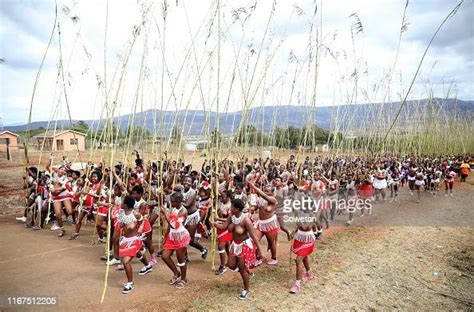 zulu maidens gather during the annual umkhosi womhlanga at enyokeni nachrichtenfoto getty