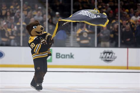 Who Is The Boston Bruins Mascot All You Need To Know About Blades The