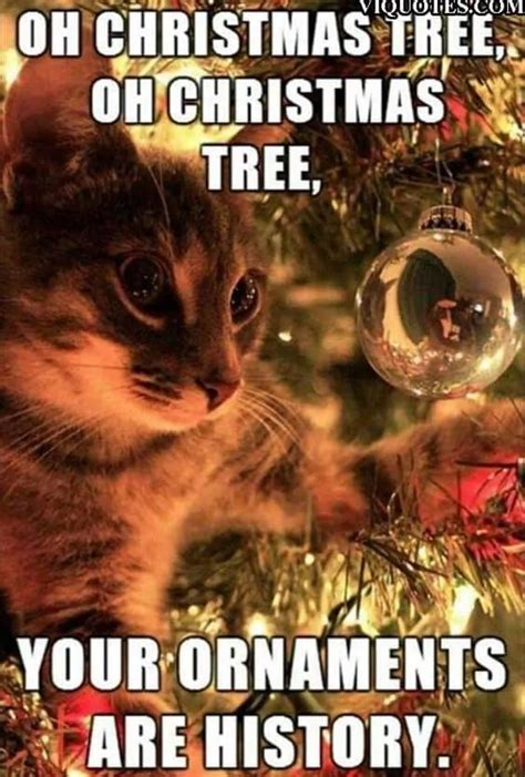 13 Funny Merry Christmas Memes Christmas Cat Memes Funny Animal