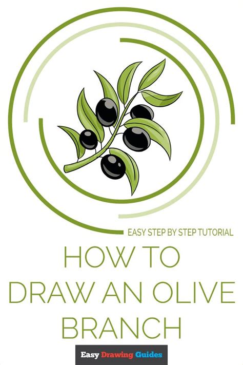 How To Draw An Olive Branch Really Easy Drawing Tutorial Easy