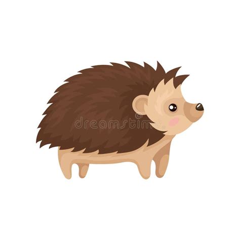 Lovely Hedgehog Prickly Animal Cartoon Character Vector Illustration On