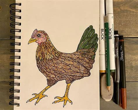 Easy Chicken Drawing And Painting Ideas Beautiful Dawn Designs