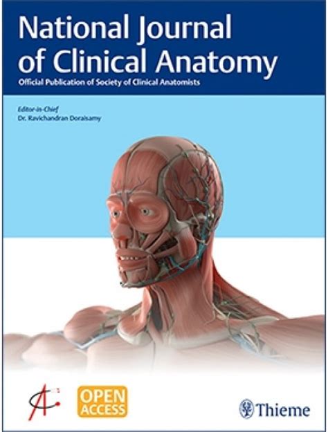 Anatomy National Journal Of Clinical Anatomy
