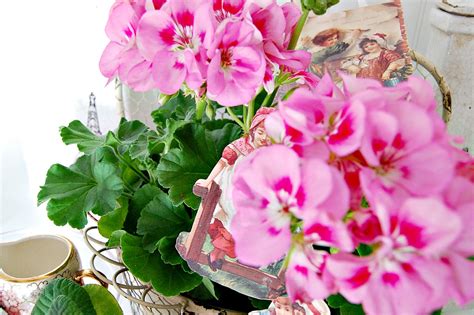 We will start with a small and simple example. Sweet and Simple Valentine Vignette - At Home with Jemma