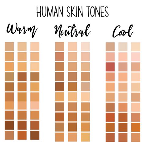 Human Skin Tone Color Palette Set Isolated On Transparent Background