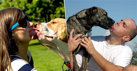 New Survey Finds Over Half Of Dog Owners Kiss Their Pet Dogs More Than